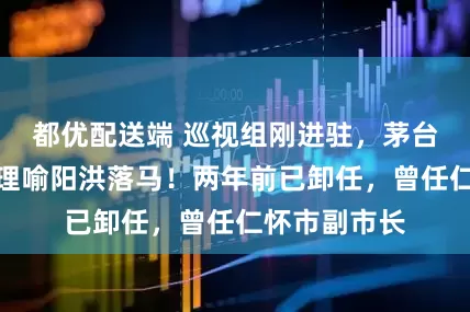 都优配送端 巡视组刚进驻，茅台机场原总经理喻阳洪落马！两年前已卸任，曾任仁怀市副市长