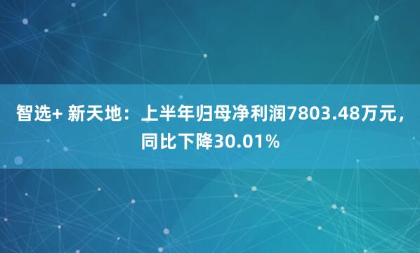 智选+ 新天地：上半年归母净利润7803.48万元，同比下降30.01%