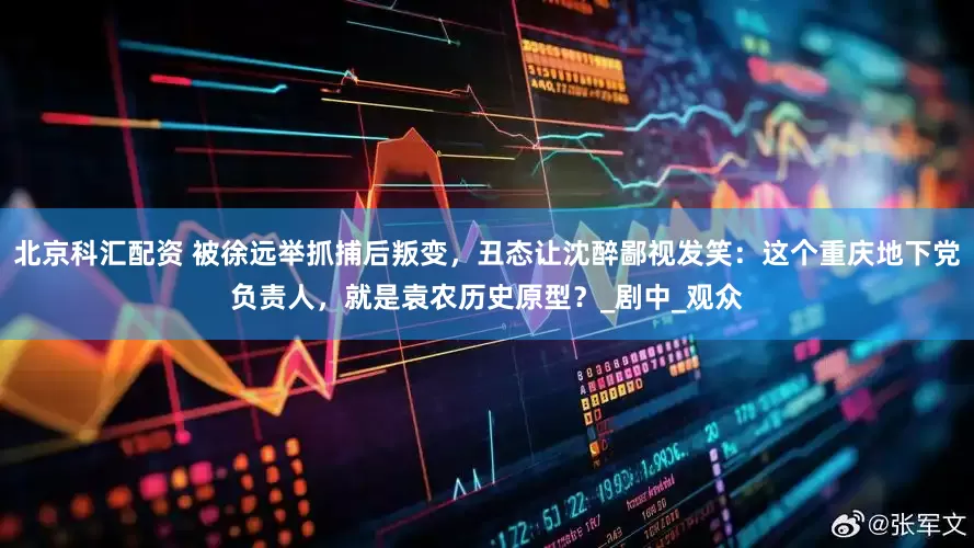 北京科汇配资 被徐远举抓捕后叛变，丑态让沈醉鄙视发笑：这个重庆地下党负责人，就是袁农历史原型？_剧中_观众